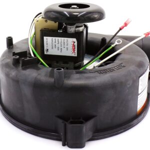 Blower Motor