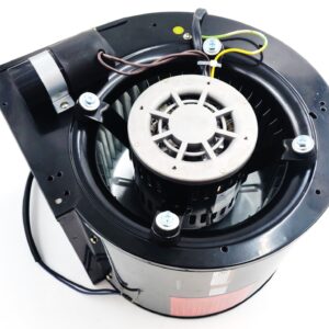 Blower Motor